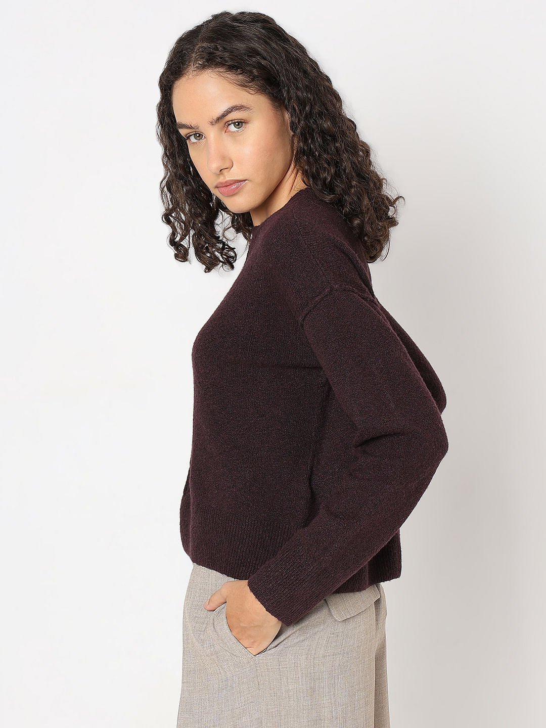 Purple Regular Pullover