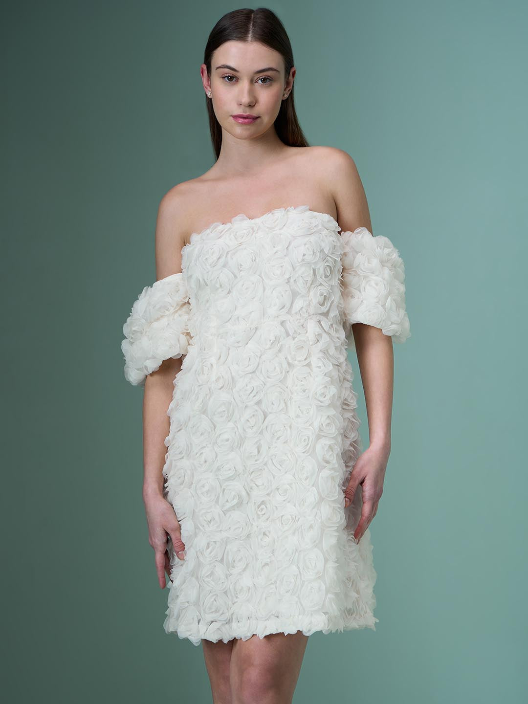 Marquee Ecru Rose Applique Dress