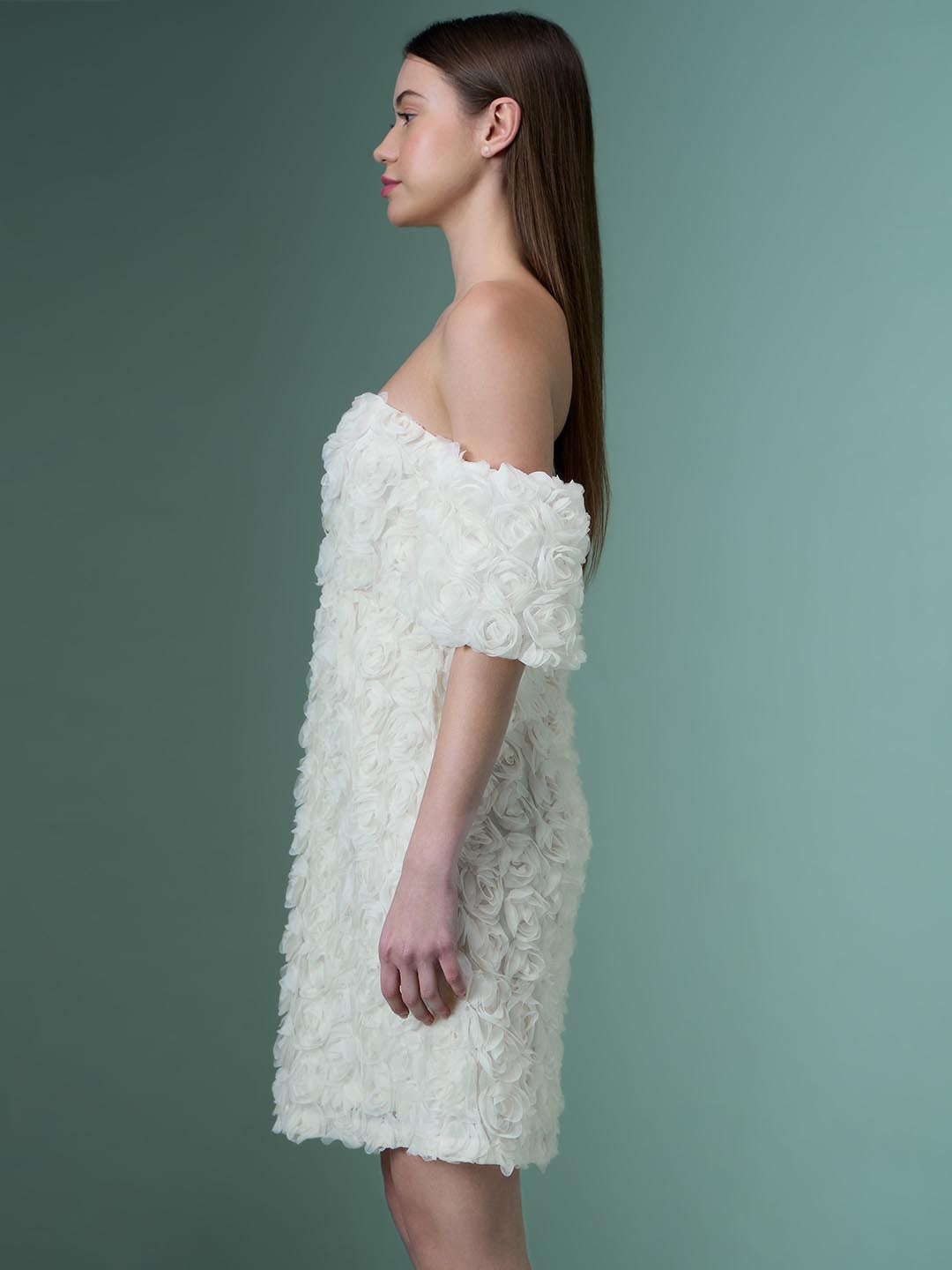 Marquee Ecru Rose Applique Dress