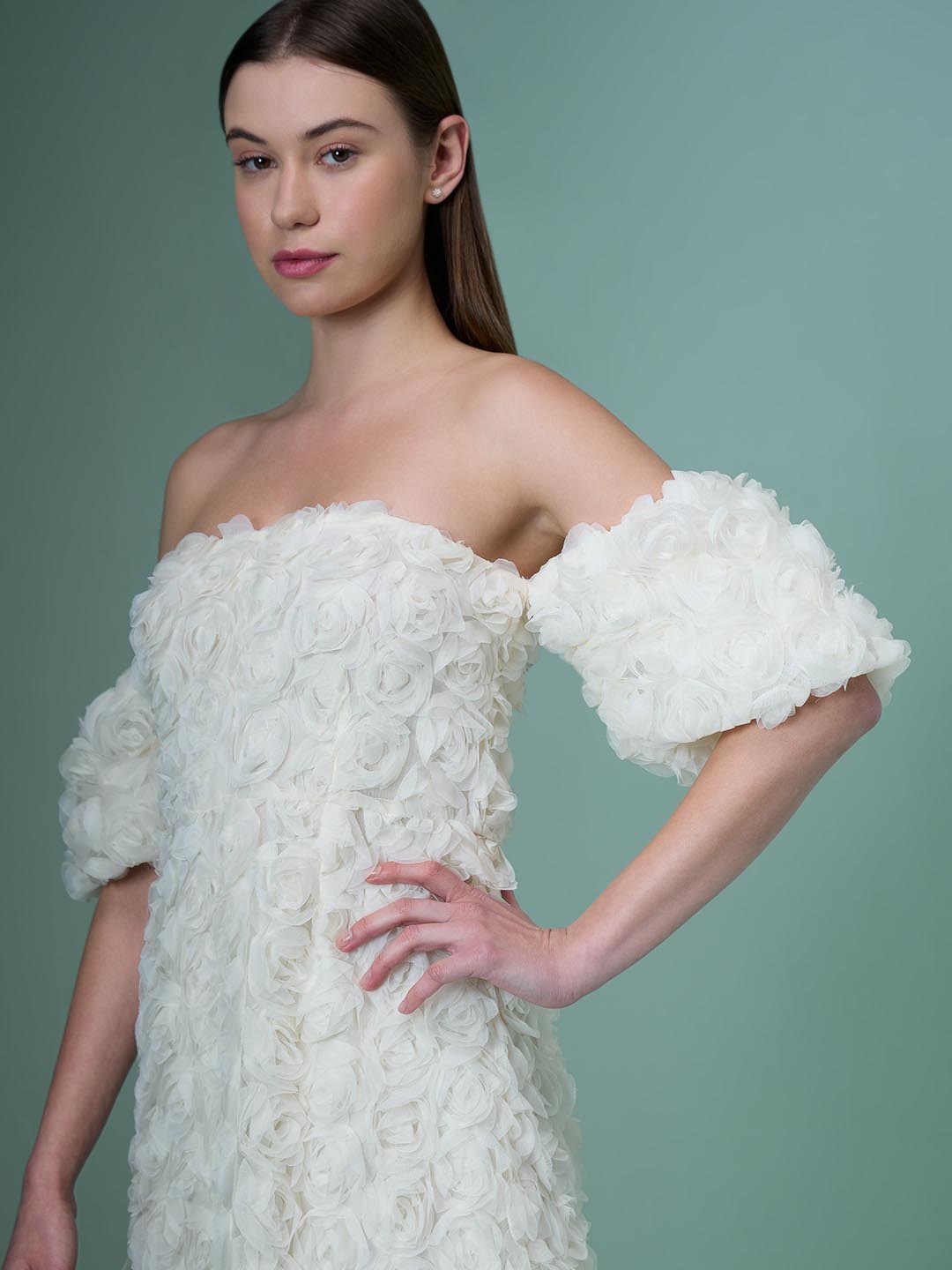 Marquee Ecru Rose Applique Dress