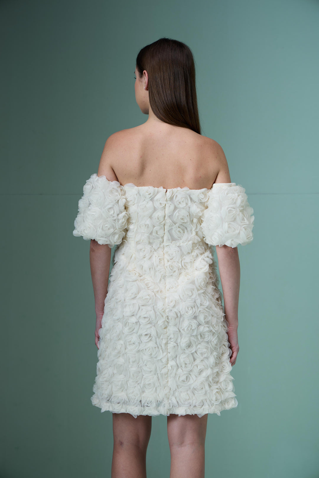 Marquee Ecru Rose Applique Dress