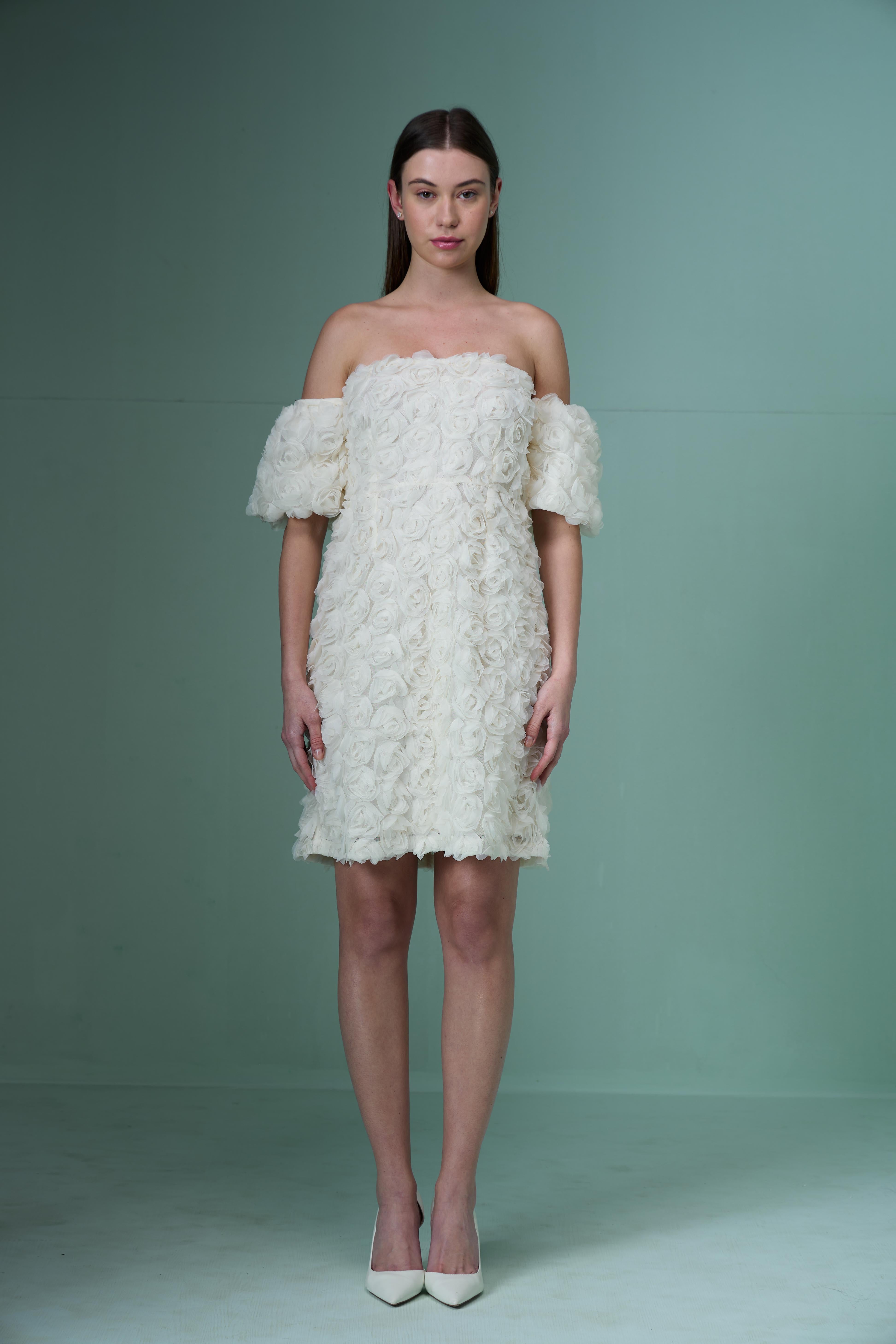 Marquee Ecru Rose Applique Dress