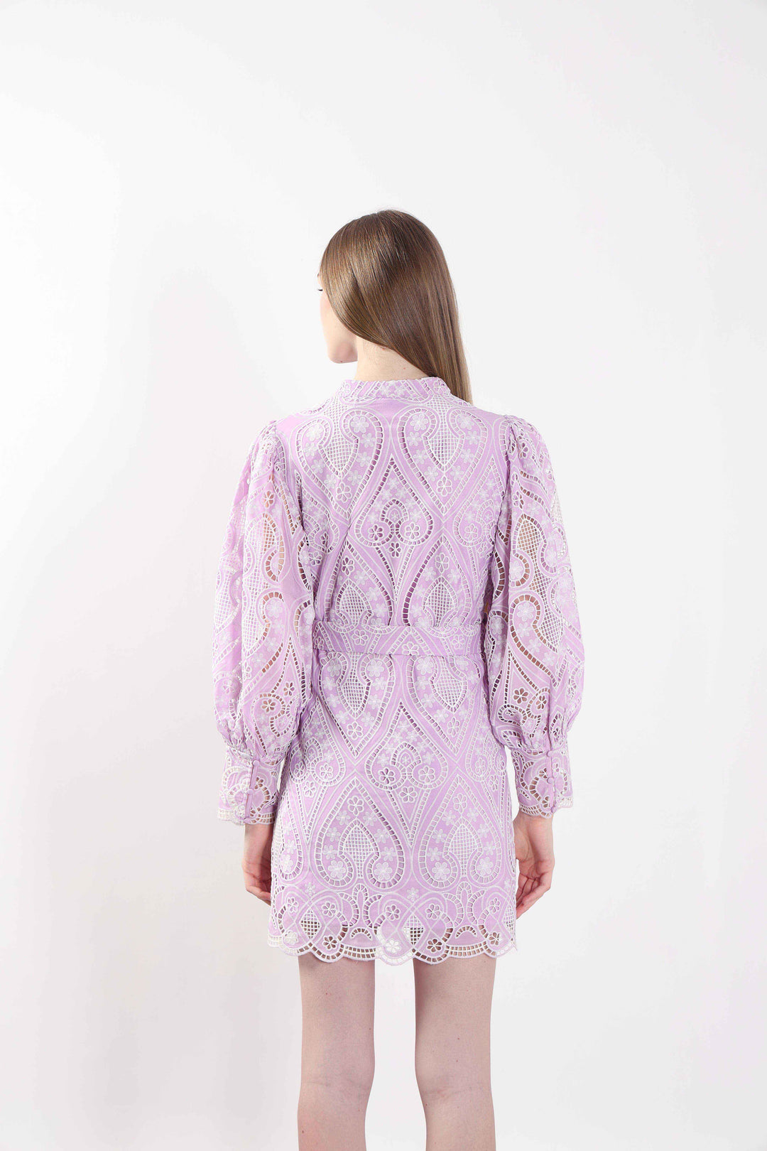 Lilac Schiffli Embroidered Mini Dress