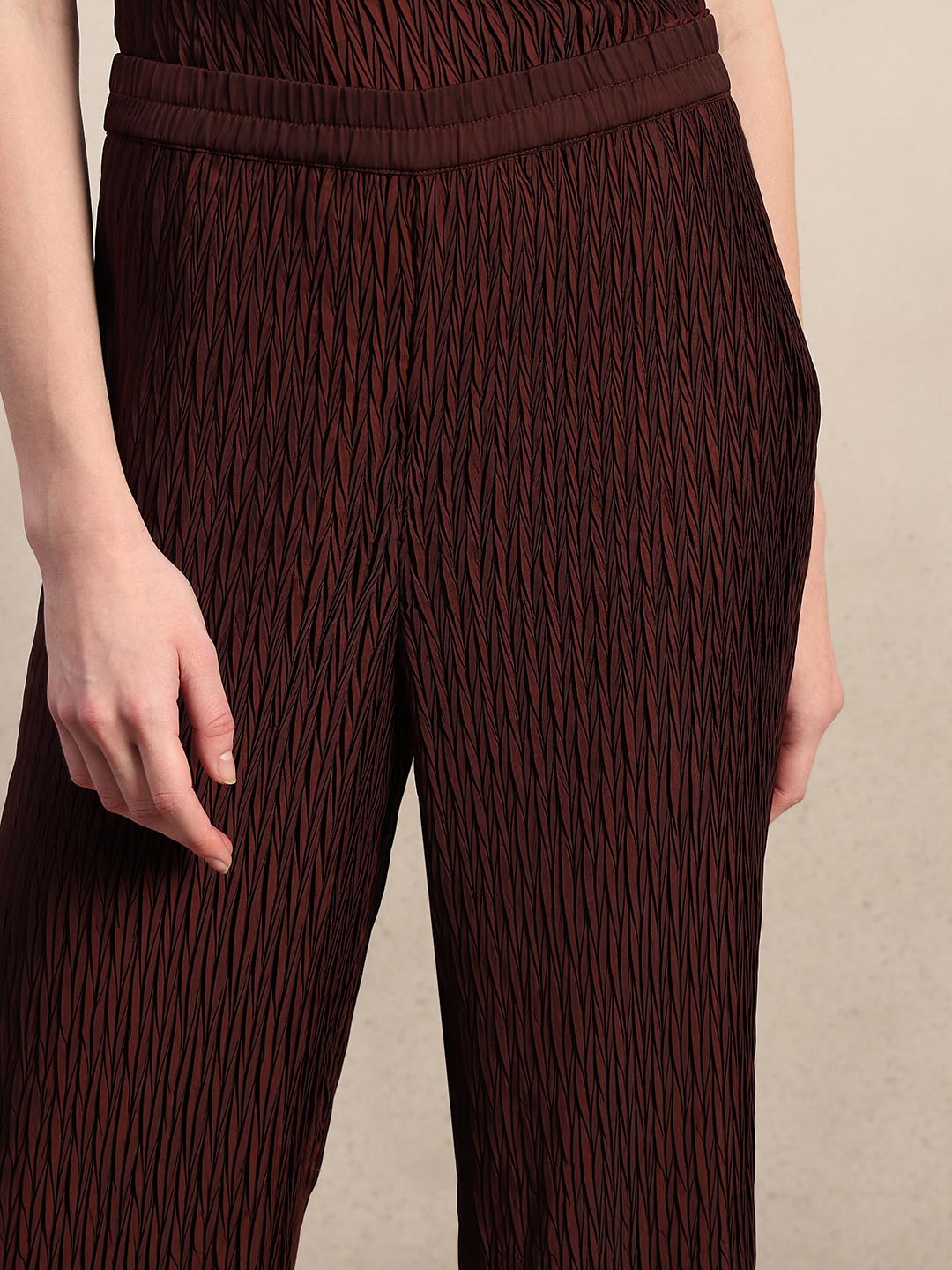 Maroon Textured Ankle Length Pants