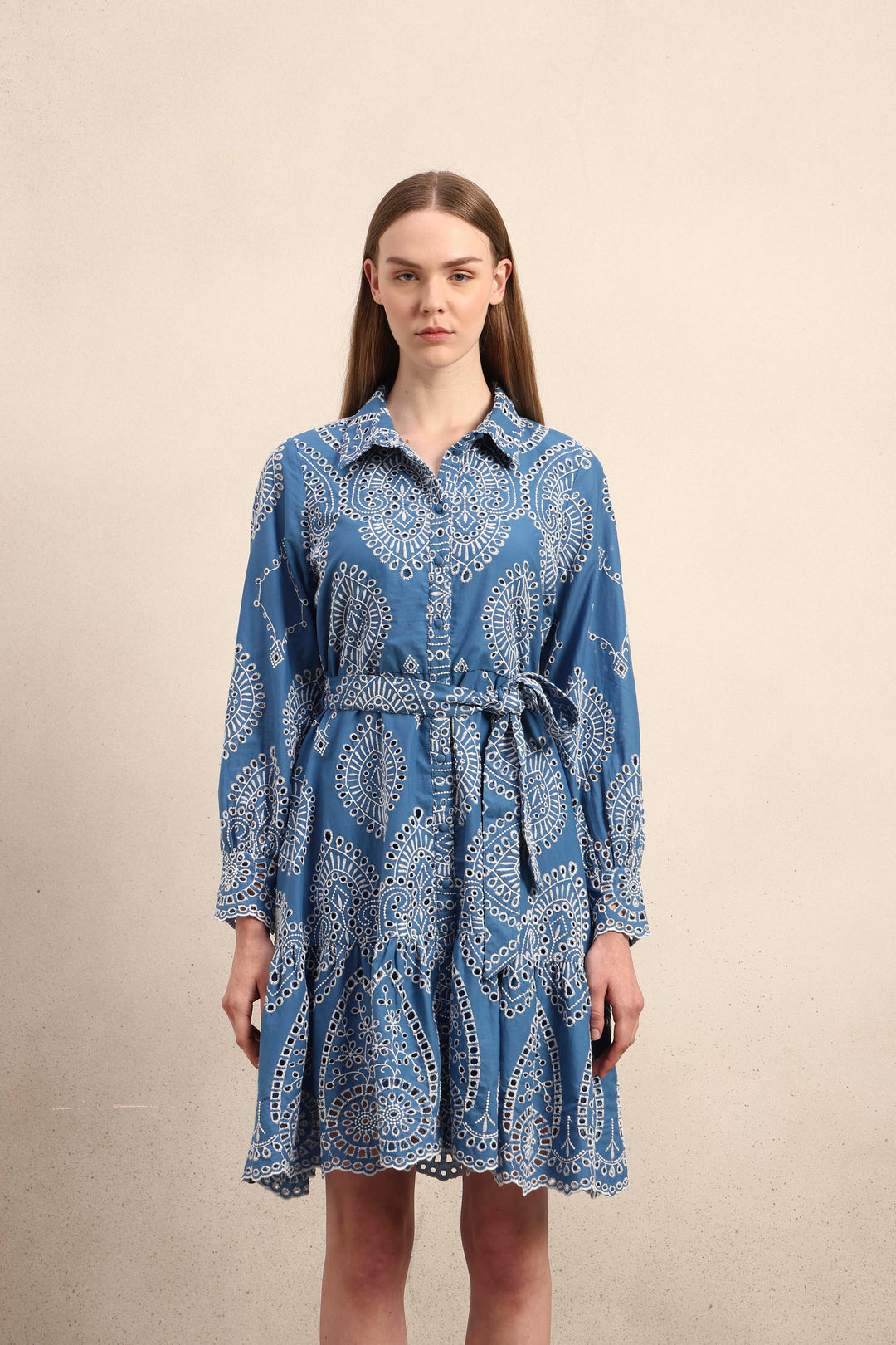 Embroidered Cotton Shirt Dress