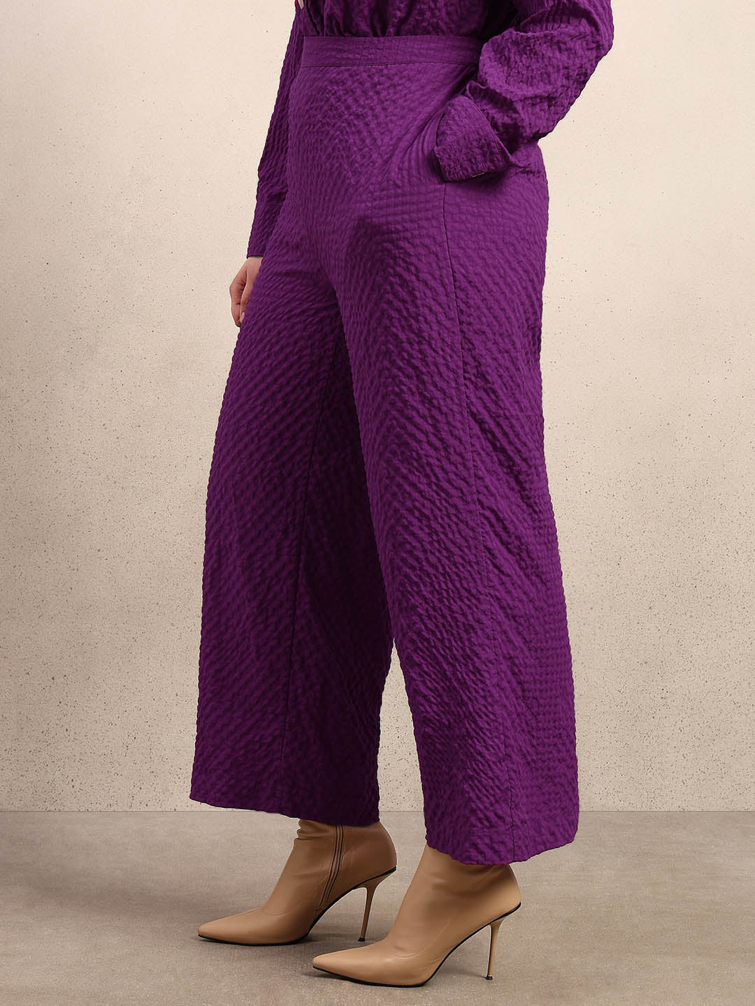 Curve Purple Textured Pants