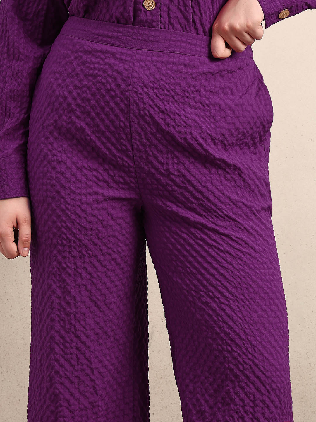 Curve Purple Textured Pants