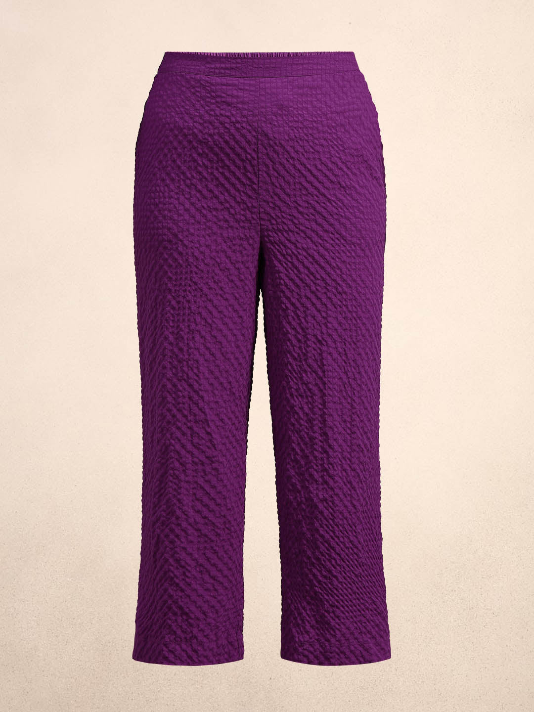 Curve Purple Textured Pants