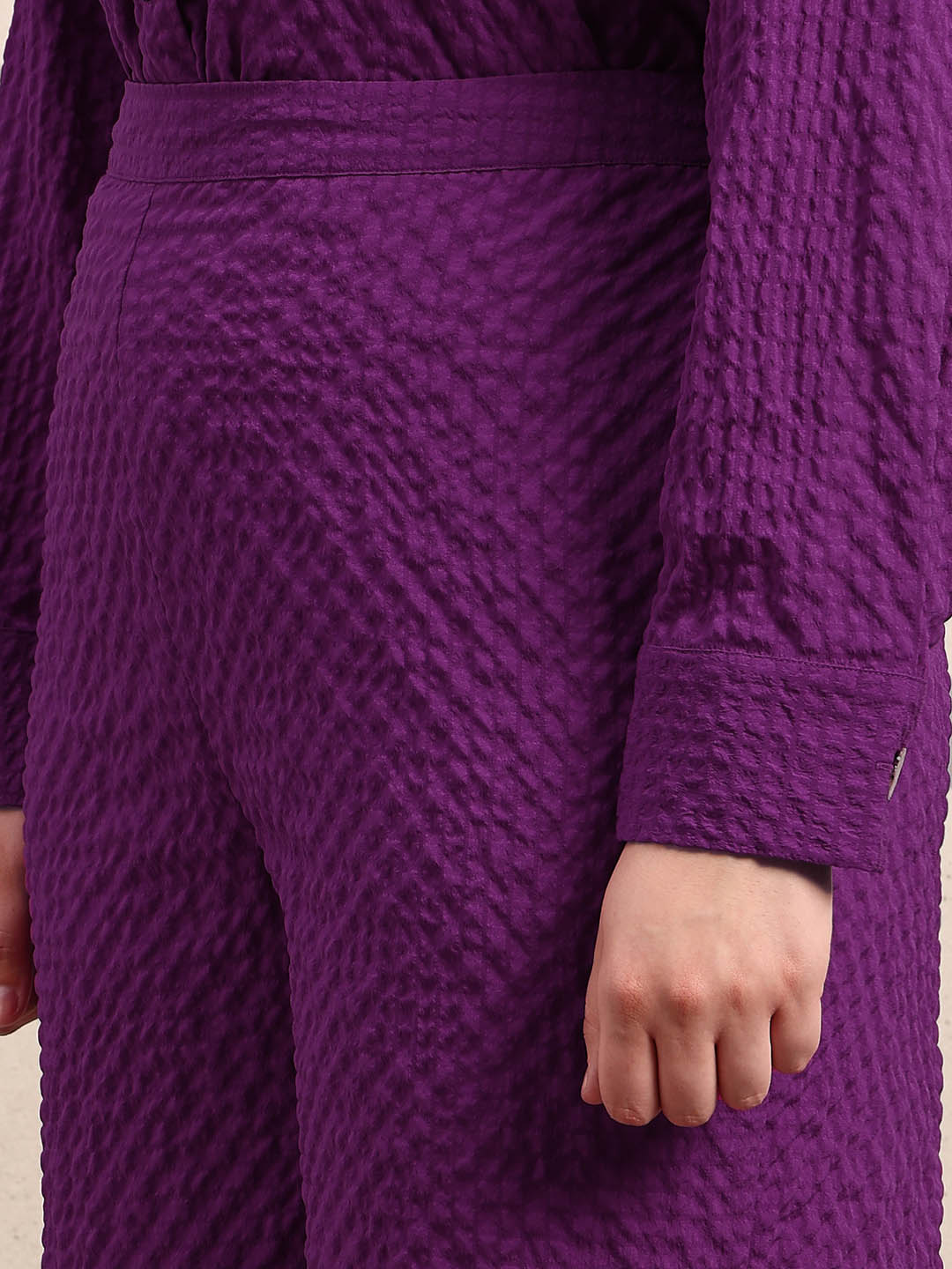 Curve Purple Textured Pants