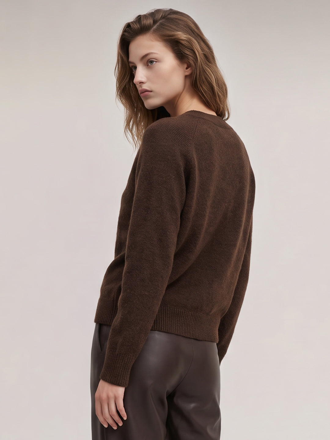 Brown Embroidered Pullover