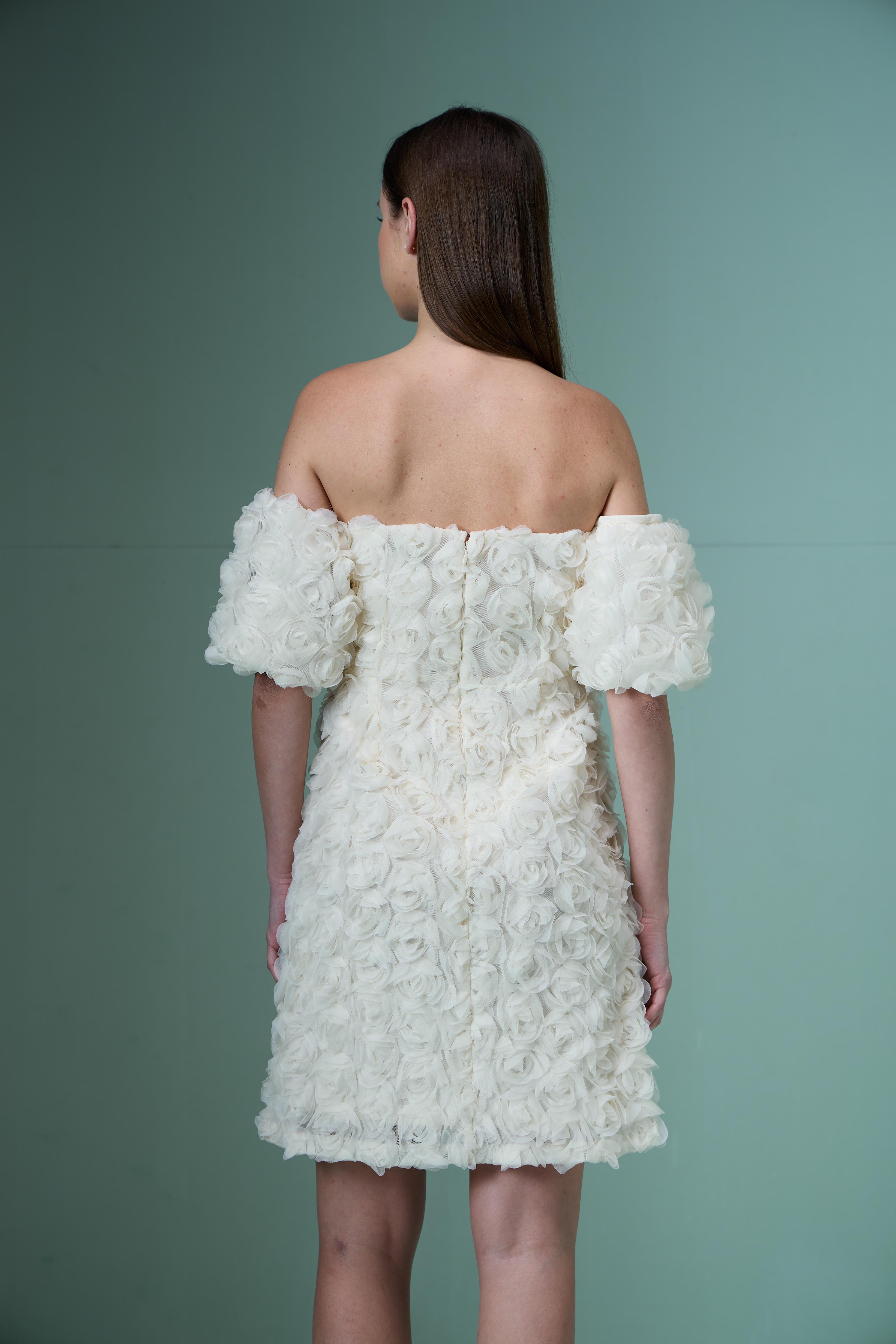 Marquee Ecru Rose Applique Dress