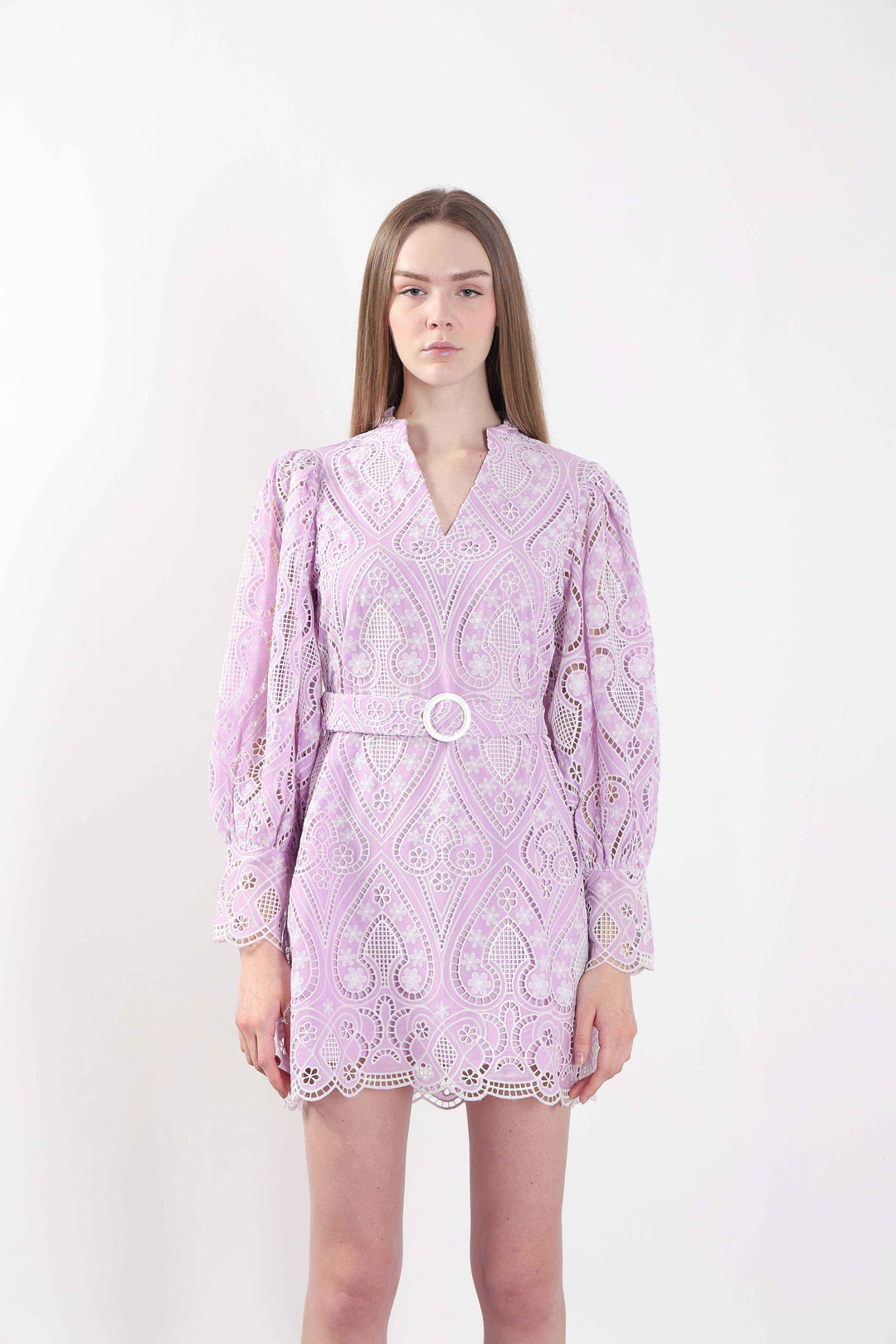 Lilac Schiffli Embroidered Mini Dress