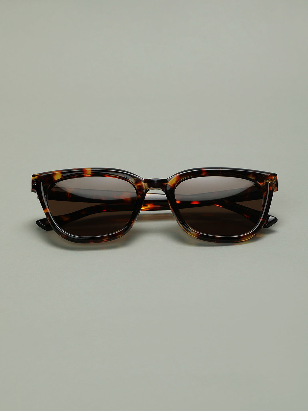 Tortoiseshell Wayfarer Sunglasses