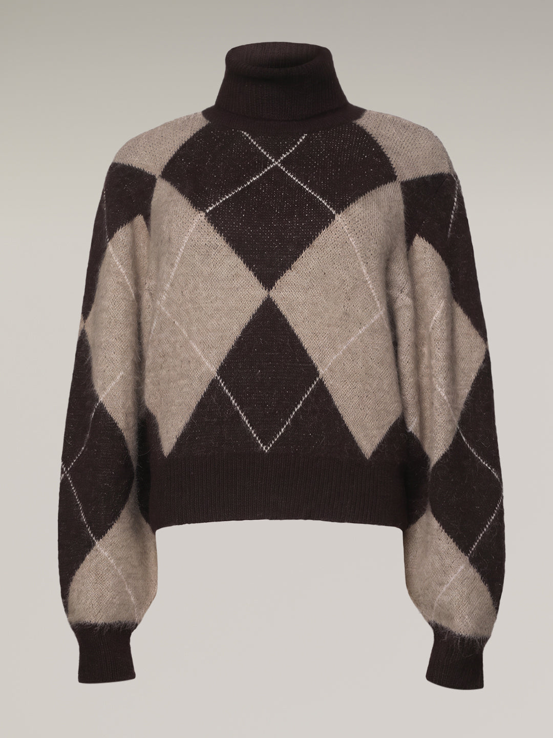 Printed Roll Neck Knitted Pullover