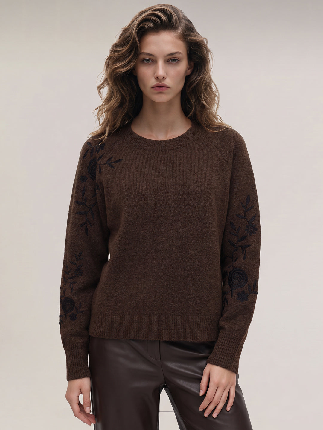 Brown Embroidered Pullover