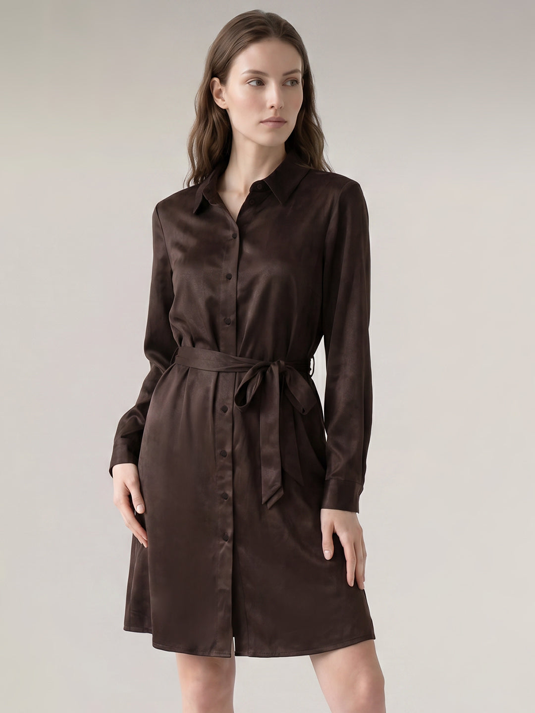 Dark Brown Shirt Dress